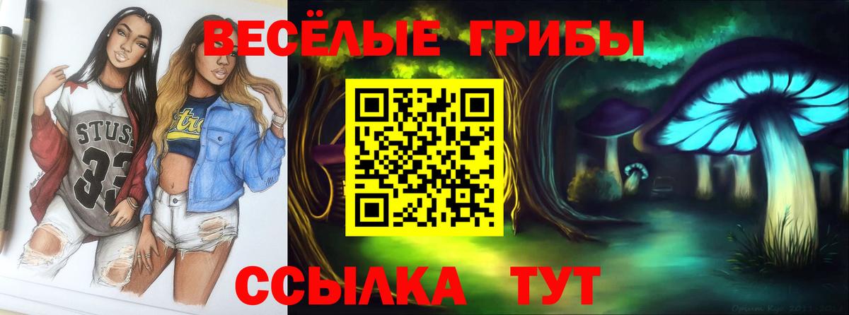 Псилоцибиновые грибы ЛСД Тамбов